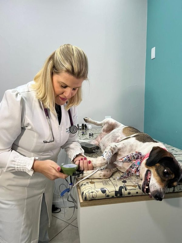 M.V. Adriana Klein | Veterinária em Teresópolis Várzea — Teresópolis, RJ